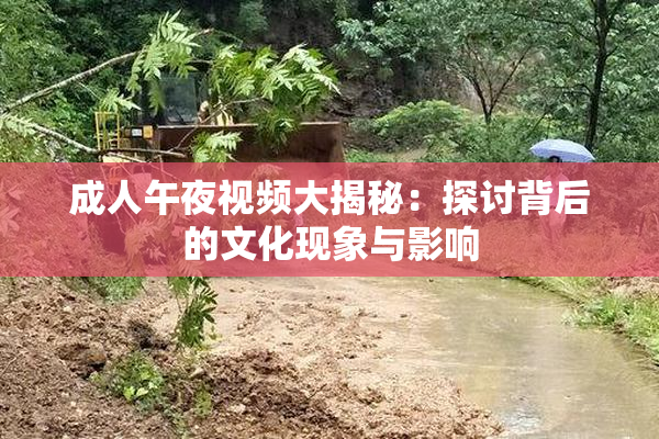成人午夜视频大揭秘：探讨背后的文化现象与影响