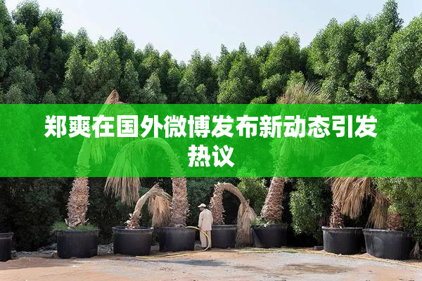 郑爽在国外微博发布新动态引发热议