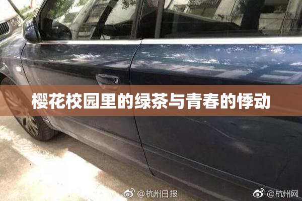 樱花校园里的绿茶与青春的悸动