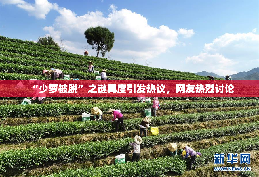 “少萝被脱”之谜再度引发热议，网友热烈讨论