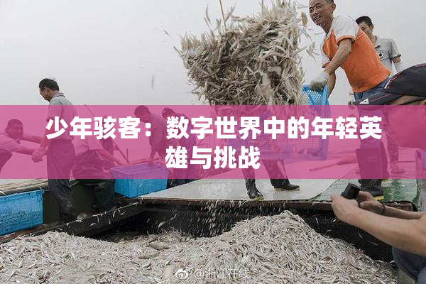 少年骇客：数字世界中的年轻英雄与挑战