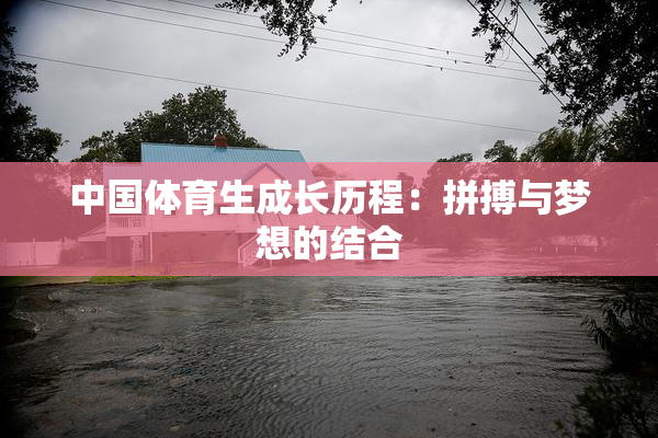 中国体育生成长历程：拼搏与梦想的结合