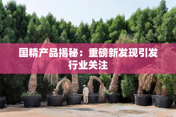 国精产品揭秘：重磅新发现引发行业关注