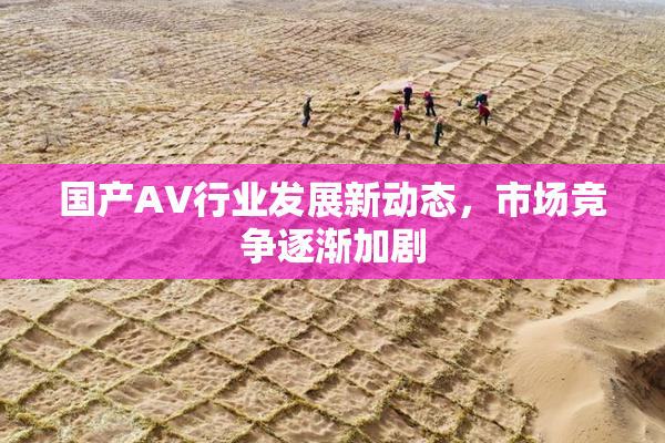 国产AV行业发展新动态，市场竞争逐渐加剧