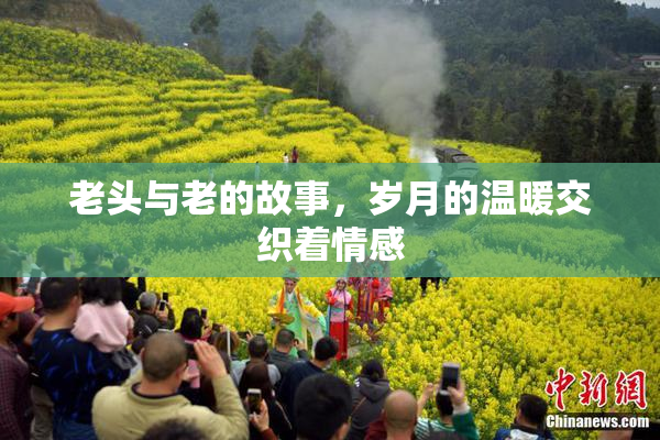 老头与老的故事，岁月的温暖交织着情感