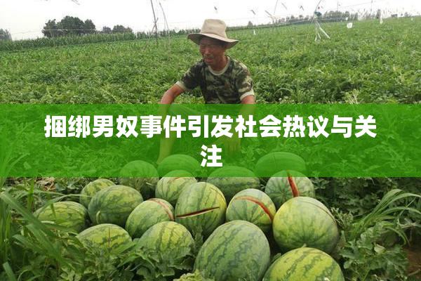 捆绑男奴事件引发社会热议与关注