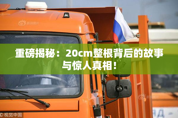 重磅揭秘：20cm整根背后的故事与惊人真相！
