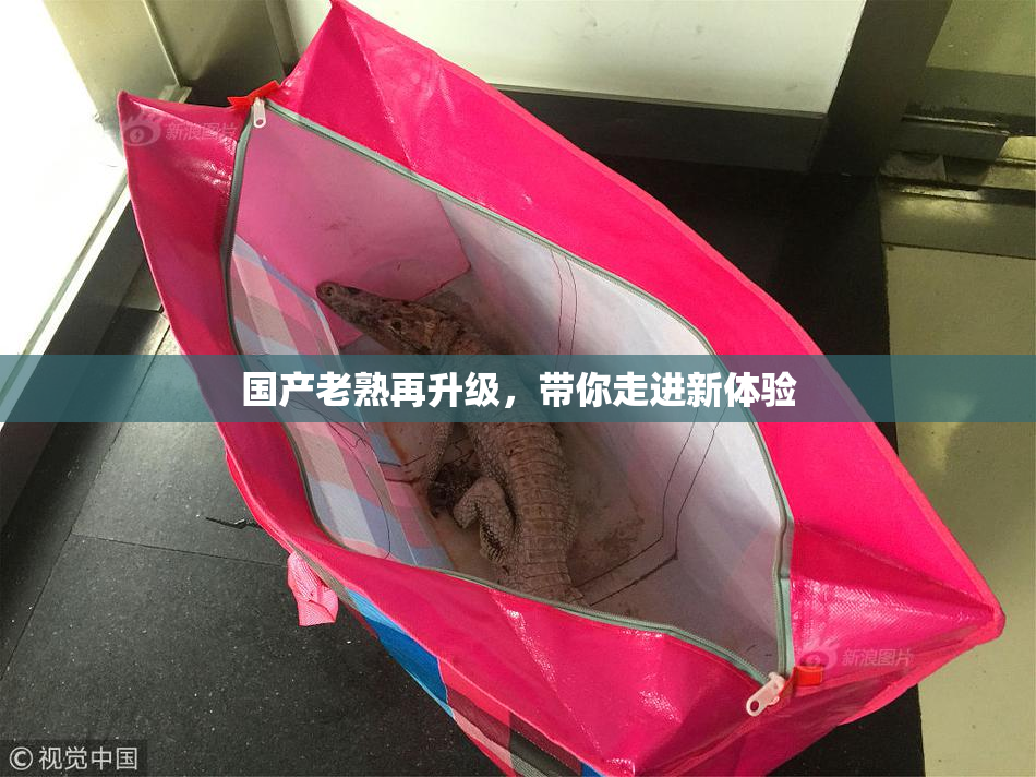 国产老熟再升级，带你走进新体验