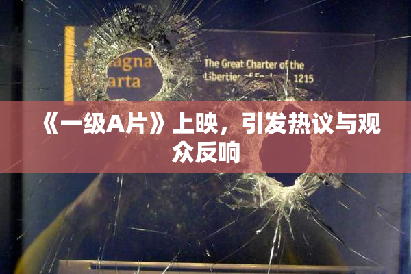 《一级A片》上映，引发热议与观众反响