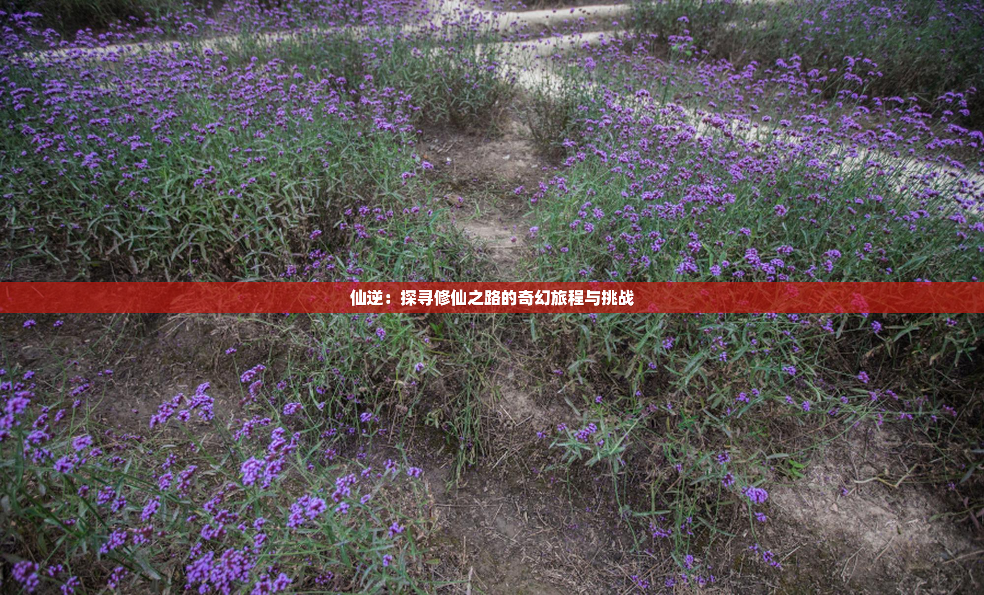 仙逆：探寻修仙之路的奇幻旅程与挑战