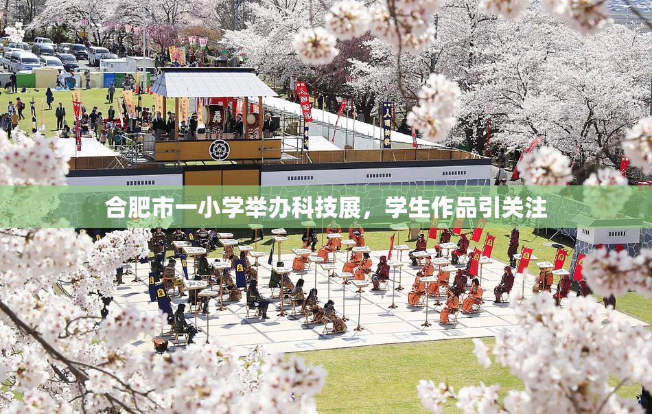 合肥市一小学举办科技展，学生作品引关注