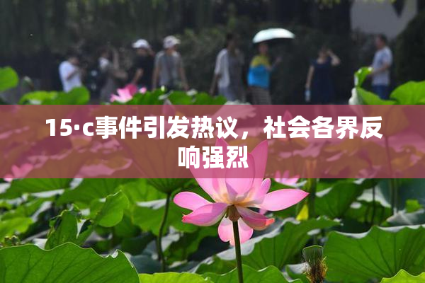 15·c事件引发热议，社会各界反响强烈