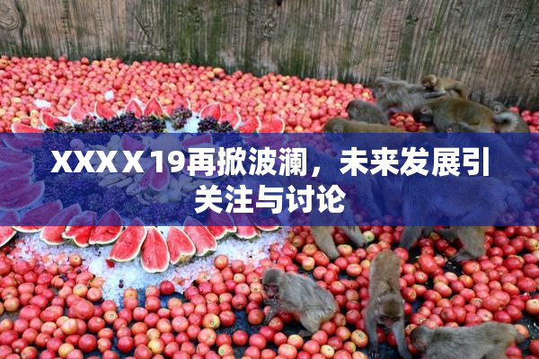 XXXⅩ19再掀波澜，未来发展引关注与讨论