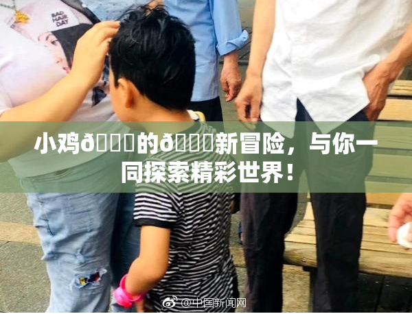 小鸡🐔的🍑新冒险，与你一同探索精彩世界！