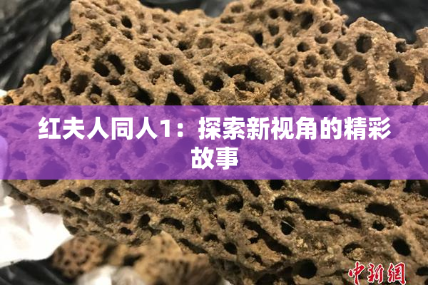红夫人同人1：探索新视角的精彩故事
