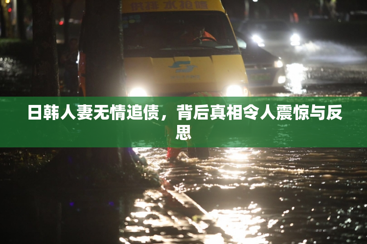 日韩人妻无情追债，背后真相令人震惊与反思