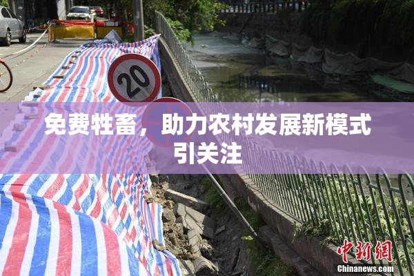 免费牲畜，助力农村发展新模式引关注