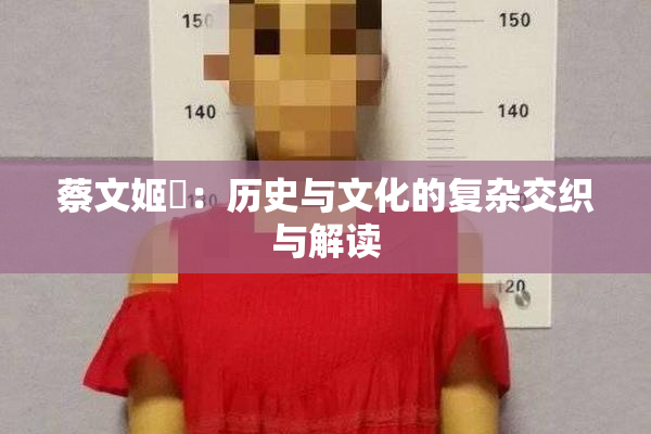 蔡文姬婬：历史与文化的复杂交织与解读