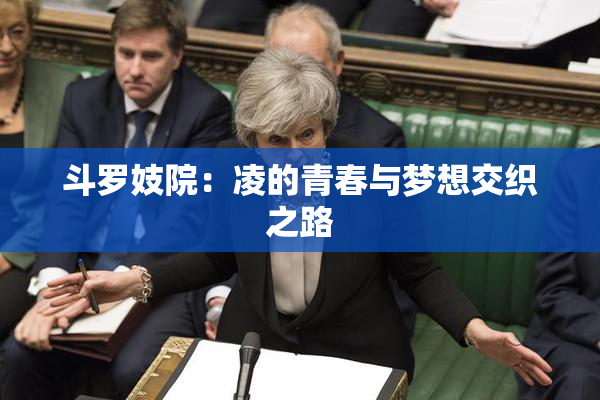 斗罗妓院：凌的青春与梦想交织之路