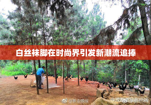 白丝袜脚在时尚界引发新潮流追捧