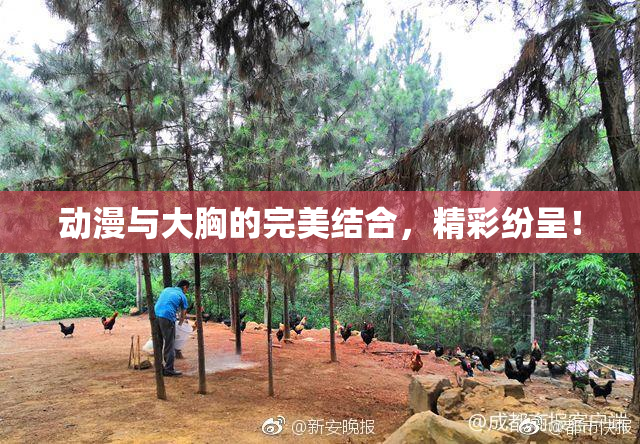 动漫与大胸的完美结合，精彩纷呈！