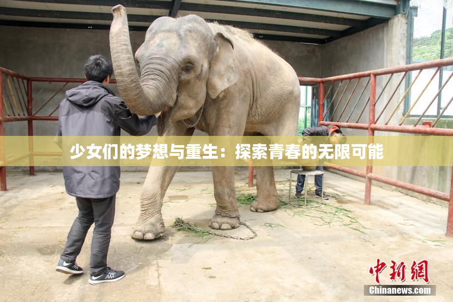 少女们的梦想与重生：探索青春的无限可能