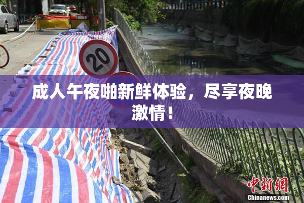 成人午夜啪新鲜体验，尽享夜晚激情！