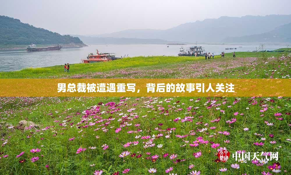 男总裁被遭遇重写，背后的故事引人关注