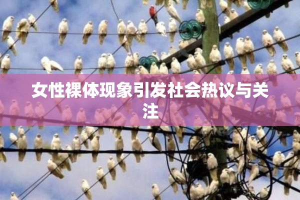 女性裸体现象引发社会热议与关注