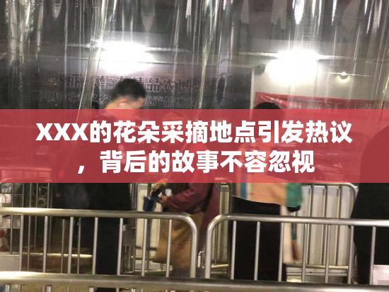 XXX的花朵采摘地点引发热议，背后的故事不容忽视