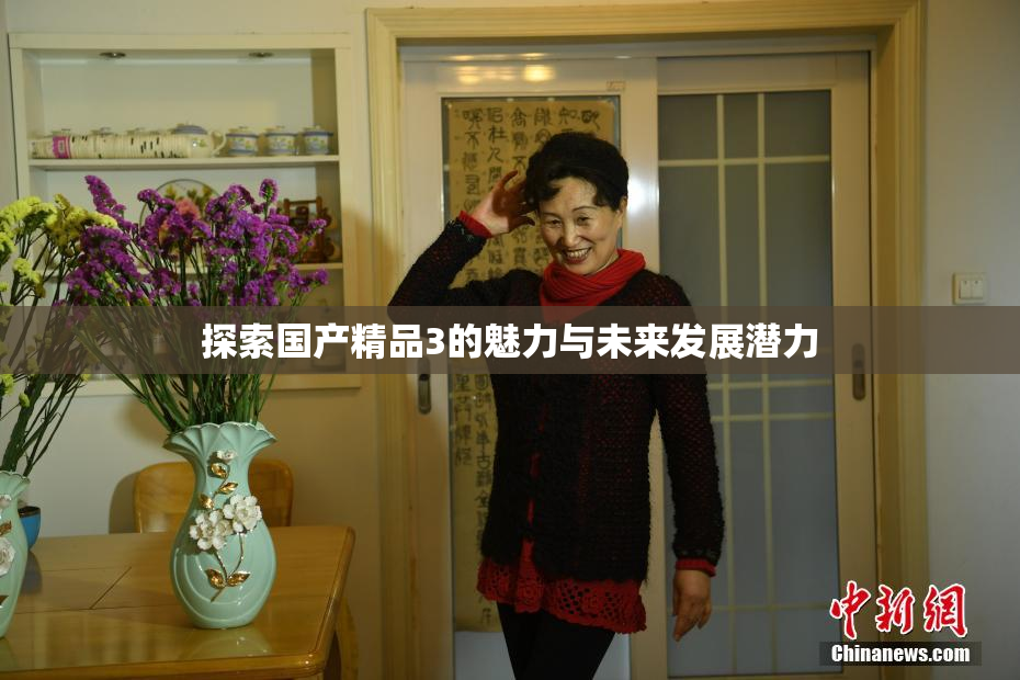探索国产精品3的魅力与未来发展潜力