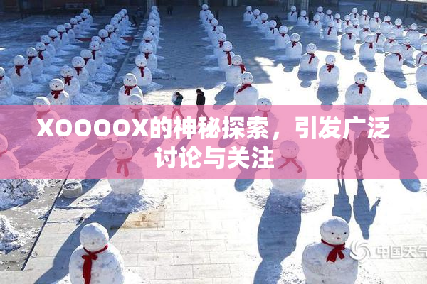 XOOOOX的神秘探索，引发广泛讨论与关注