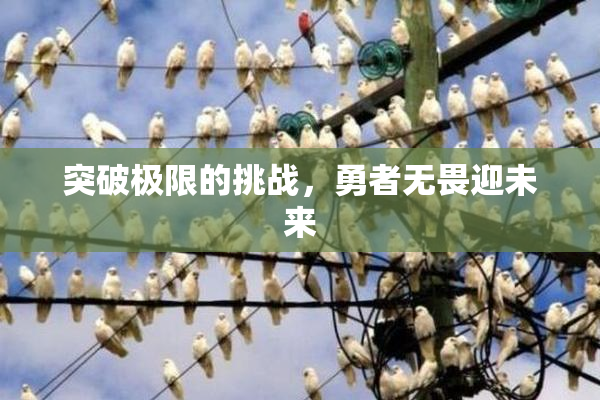 突破极限的挑战，勇者无畏迎未来