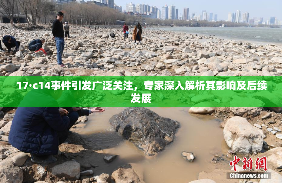 17·c14事件引发广泛关注，专家深入解析其影响及后续发展