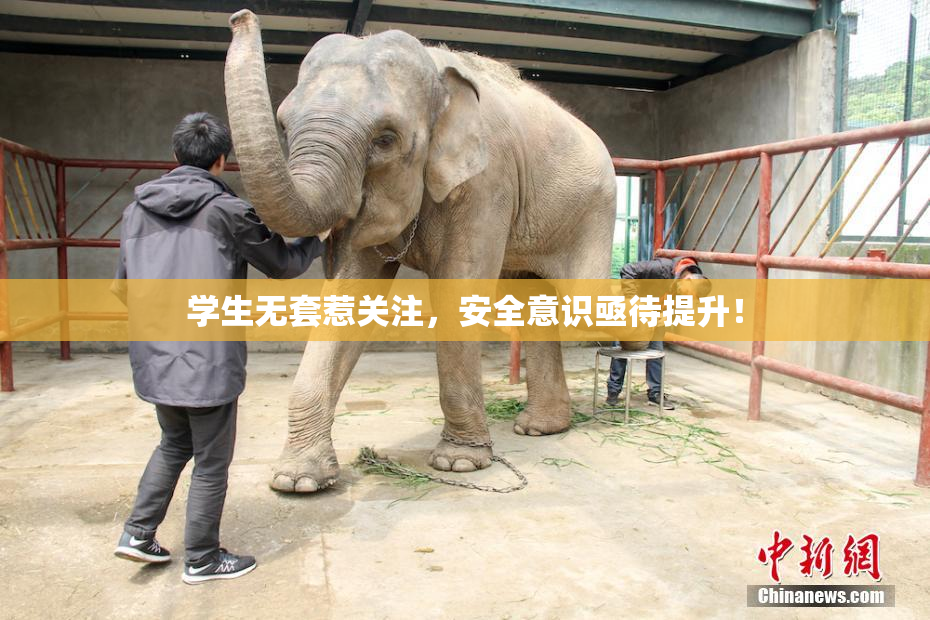 学生无套惹关注，安全意识亟待提升！