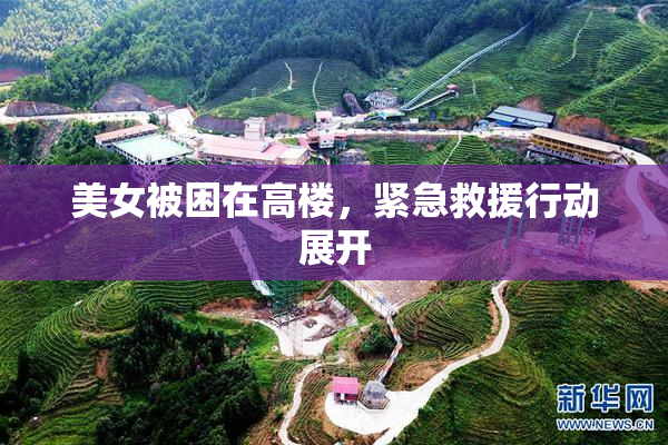 美女被困在高楼，紧急救援行动展开