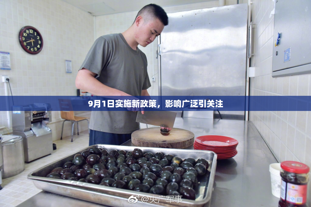 9月1日实施新政策，影响广泛引关注