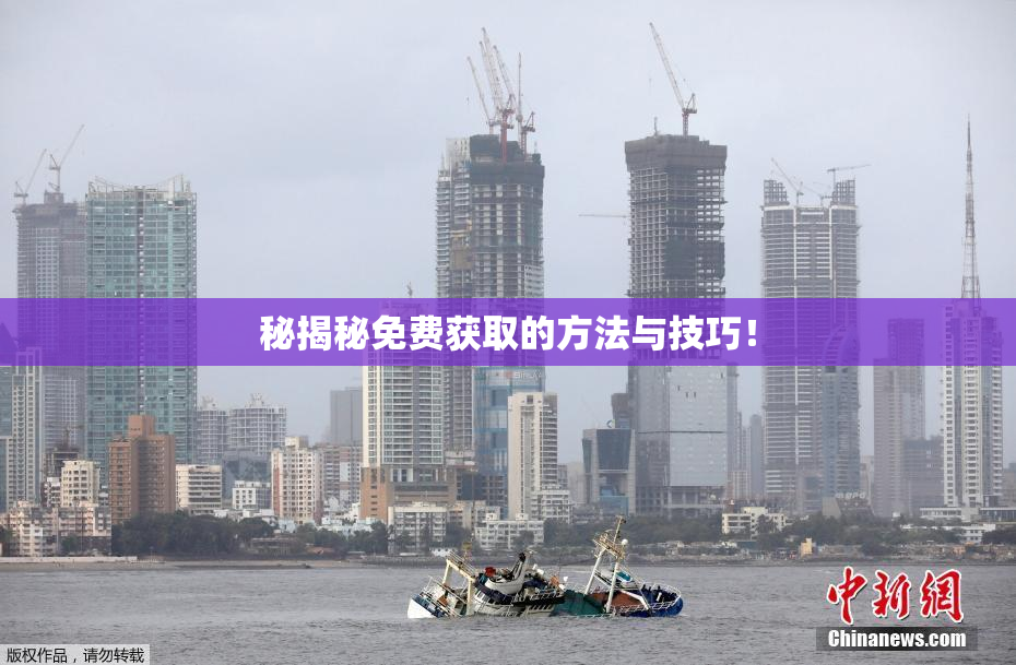 秘揭秘免费获取的方法与技巧！