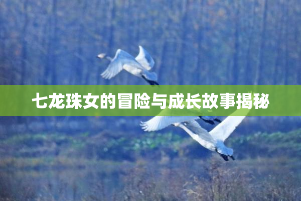七龙珠女的冒险与成长故事揭秘