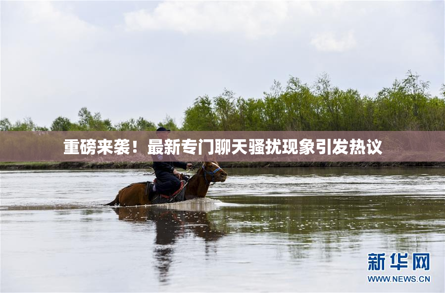 重磅来袭！最新专门聊天骚扰现象引发热议