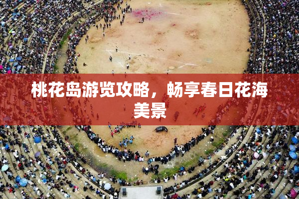 桃花岛游览攻略，畅享春日花海美景