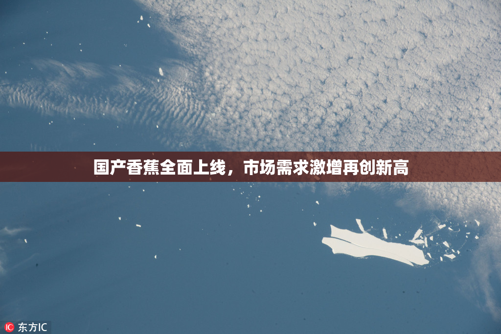 国产香蕉全面上线，市场需求激增再创新高