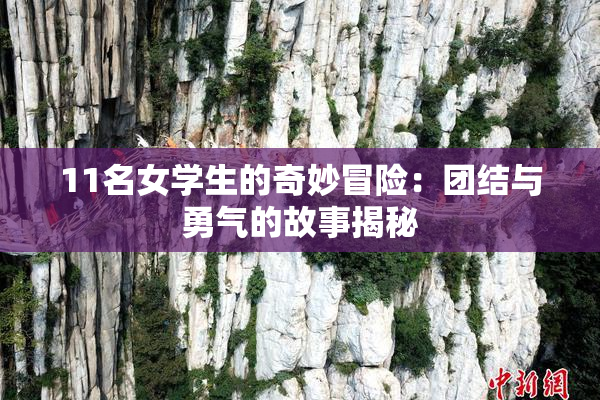 11名女学生的奇妙冒险：团结与勇气的故事揭秘