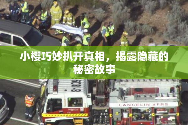 小樱巧妙扒开真相，揭露隐藏的秘密故事