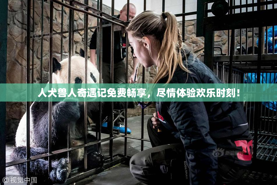 人犬兽人奇遇记免费畅享，尽情体验欢乐时刻！