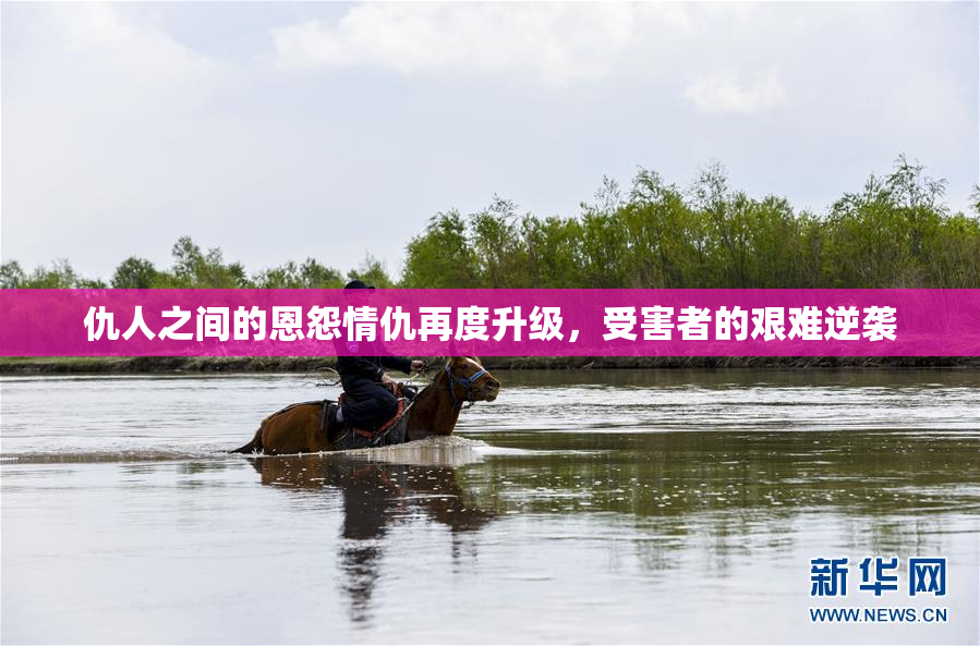 仇人之间的恩怨情仇再度升级，受害者的艰难逆袭