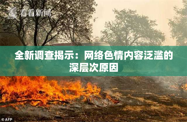 全新调查揭示：网络色情内容泛滥的深层次原因