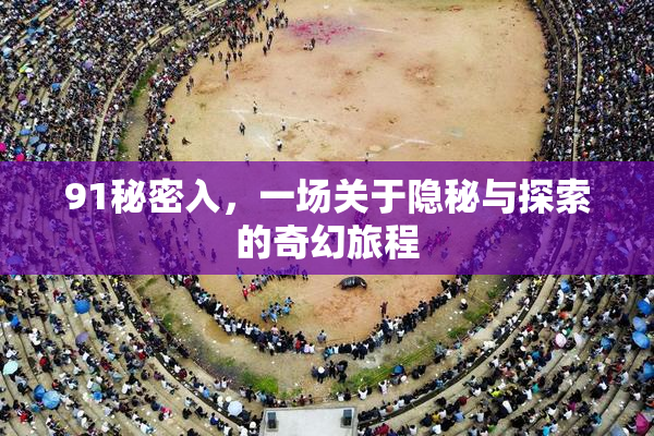 91秘密入，一场关于隐秘与探索的奇幻旅程