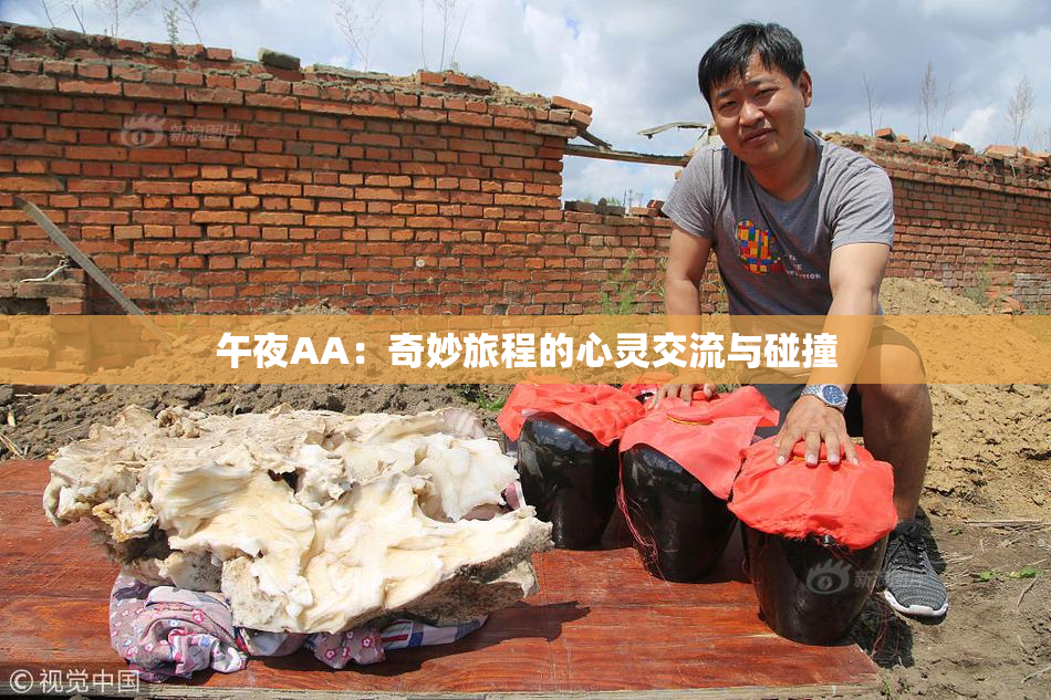 午夜AA：奇妙旅程的心灵交流与碰撞