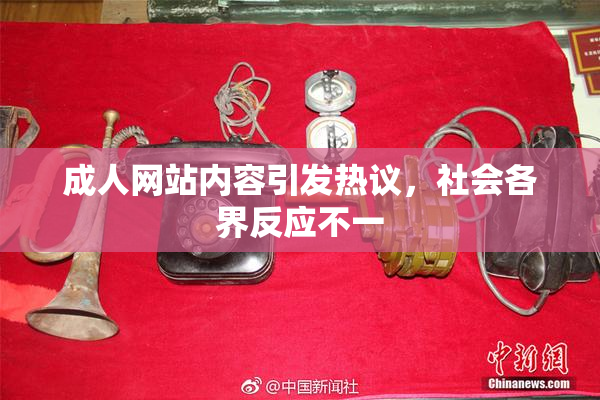 成人网站内容引发热议，社会各界反应不一